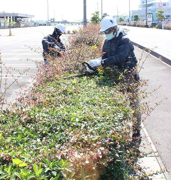 草刈り・剪定